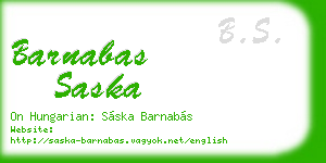 barnabas saska business card